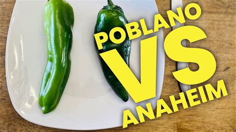are anaheim peppers similar to poblano